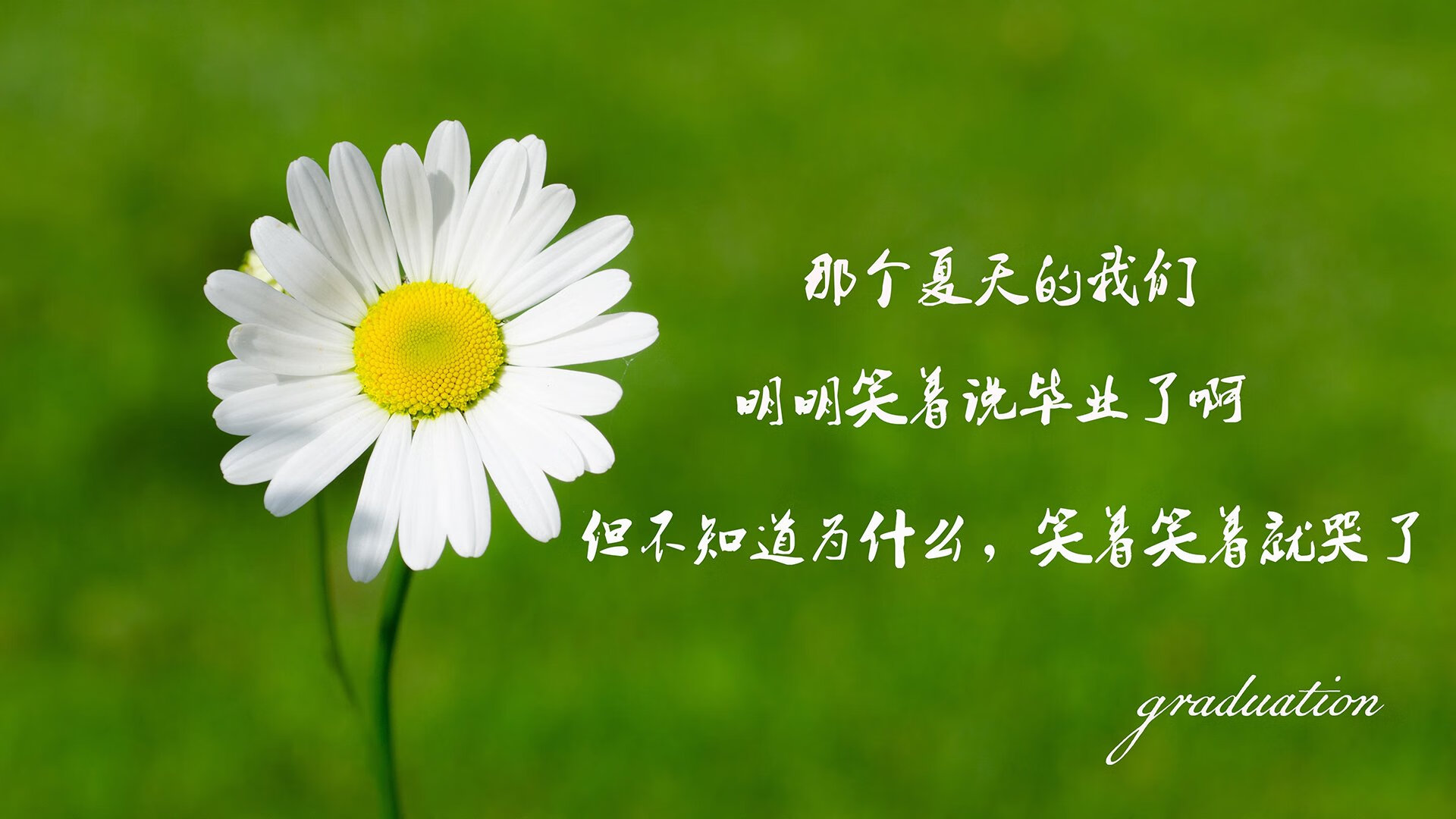 随机人全队士气高涨，准备下一场比赛迎战勇士，人全队士气高涨,准备下一场比赛迎战勇士的句子
