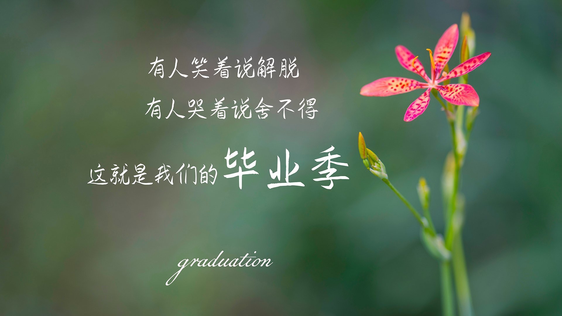 亚冠比赛即将开启，球迷热情等待，亚冠联赛赛程安排