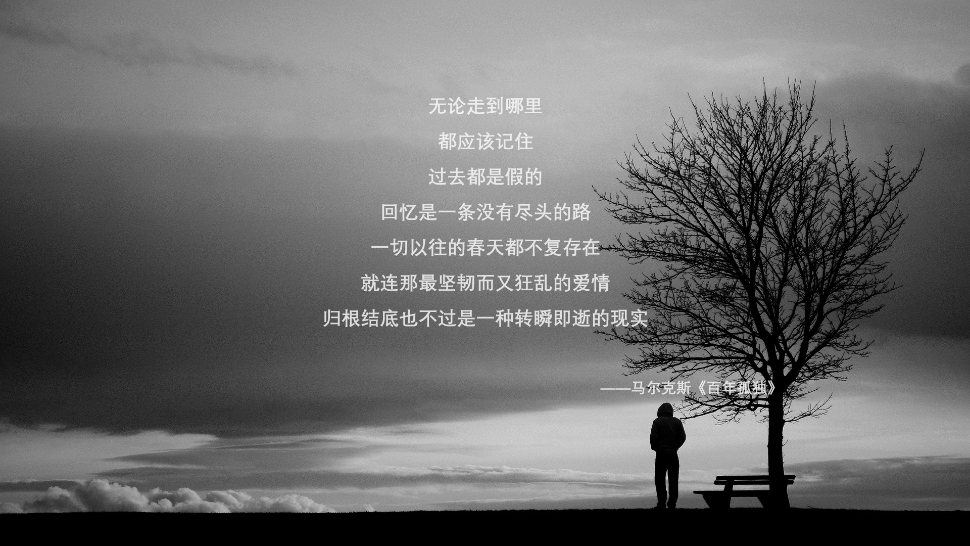 柏林赫塔-击败不莱梅，科尔代制胜入球，柏林赫塔对不莱梅