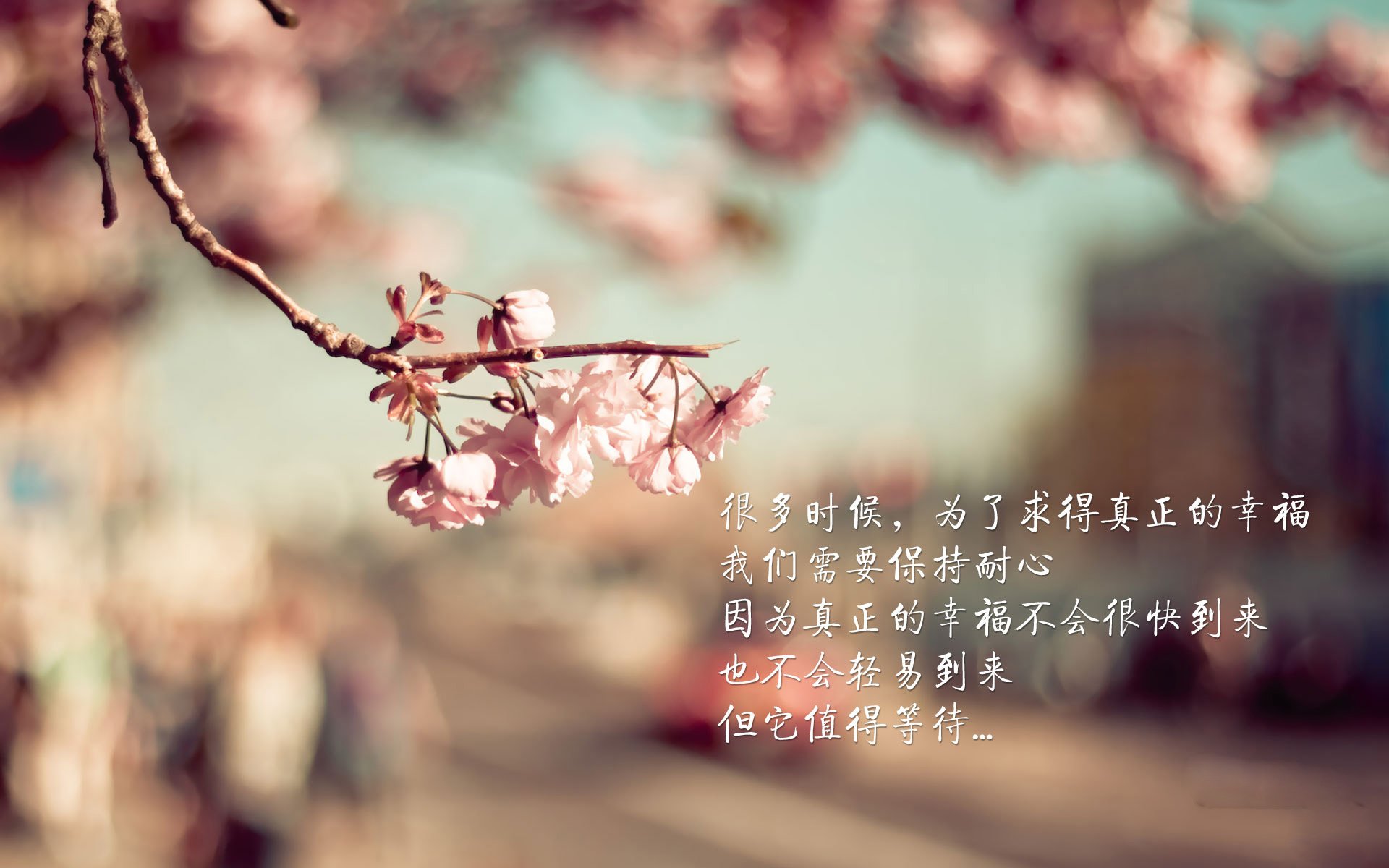 体育新闻中心主办国际体育内容技术融合创新论坛，国内国际体育十大新闻