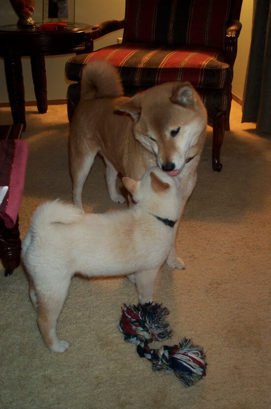 决赛中场控制力决定比赛走向，中场如何控制比赛节奏