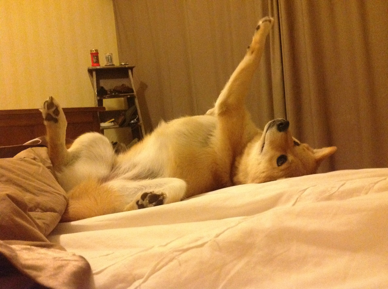 开云在线直播-换人节奏是否依据对手战术变化动态调控，换人是啥