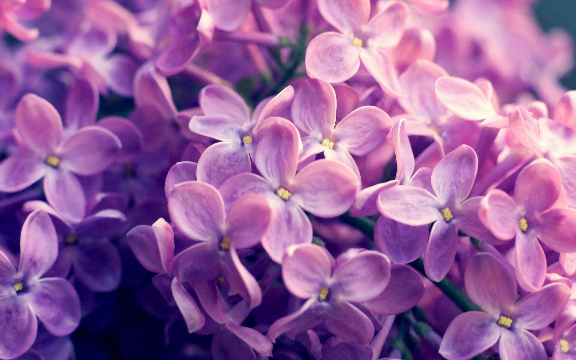 新加坡队在国际乒联混合团体世界杯中的技术精湛与配合默契，乒乓 新加坡