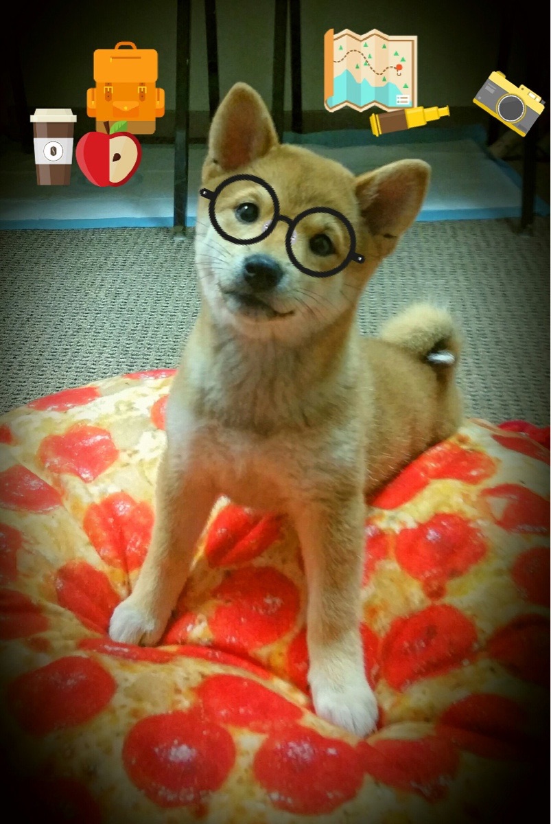 职业联赛主场氛围建设是否能常态化，职业联赛足球场尺寸