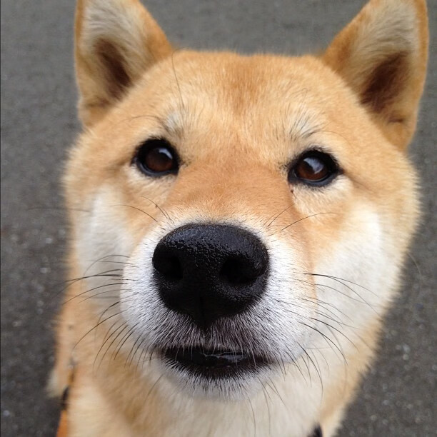 开云官网登录-高校体育选修课新增体能康复方向课程，大学生体育选修康复