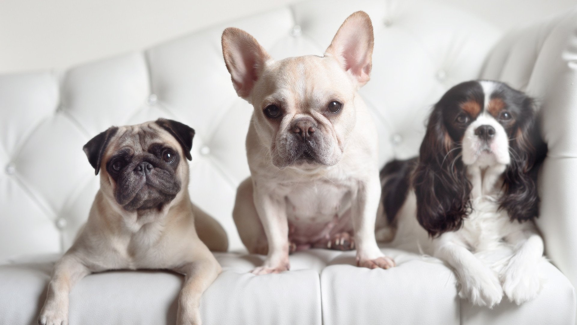 中小学篮球建立技术考核档案跟踪长期成长曲线，中小学篮球训练