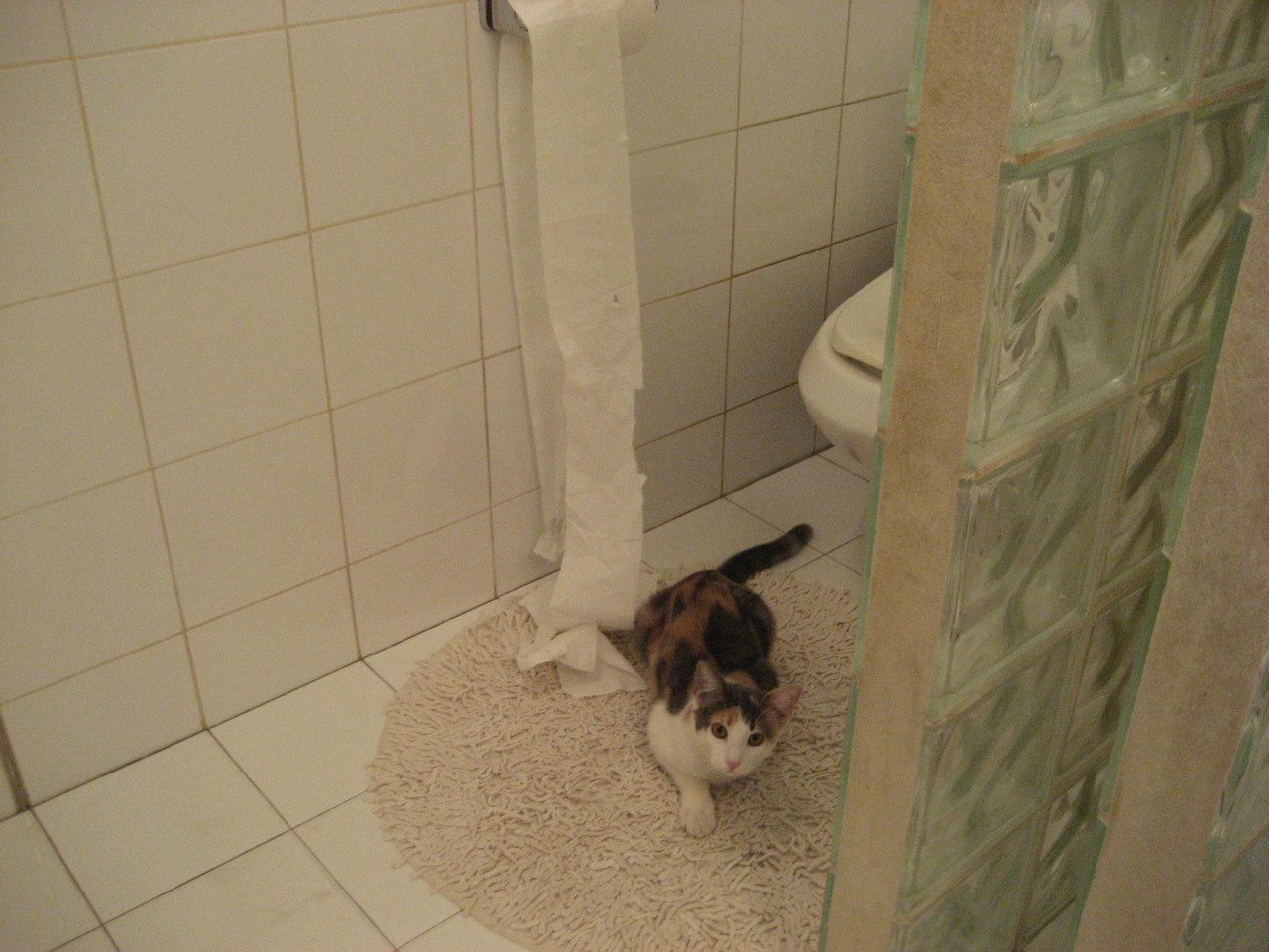 开云在线直播-俱乐部训练日志系统启用球员可回顾每日训练重点与评估，俱乐部训练赛