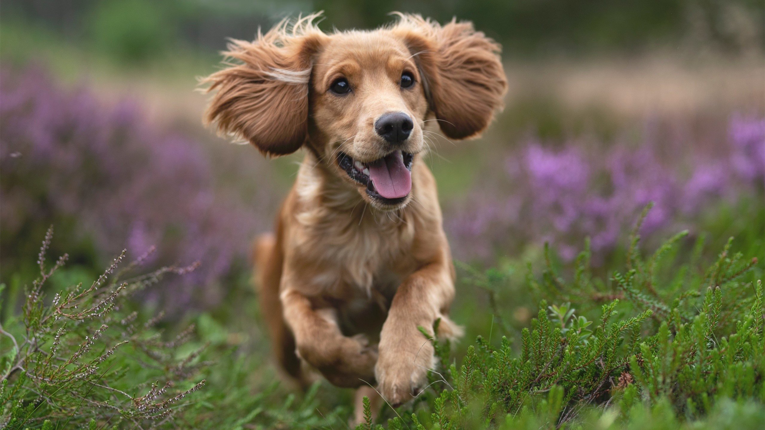 kaiyun体育app-小组赛表现强势，顺利出线，小组赛然后是什么