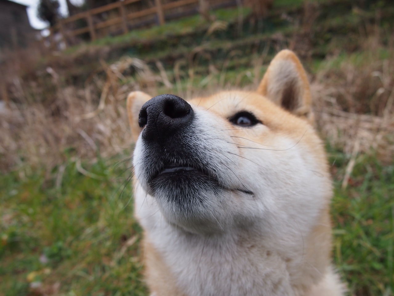 开云全站-欧洲杯战术变革：变化多端引领新潮流！，欧洲杯技术分析