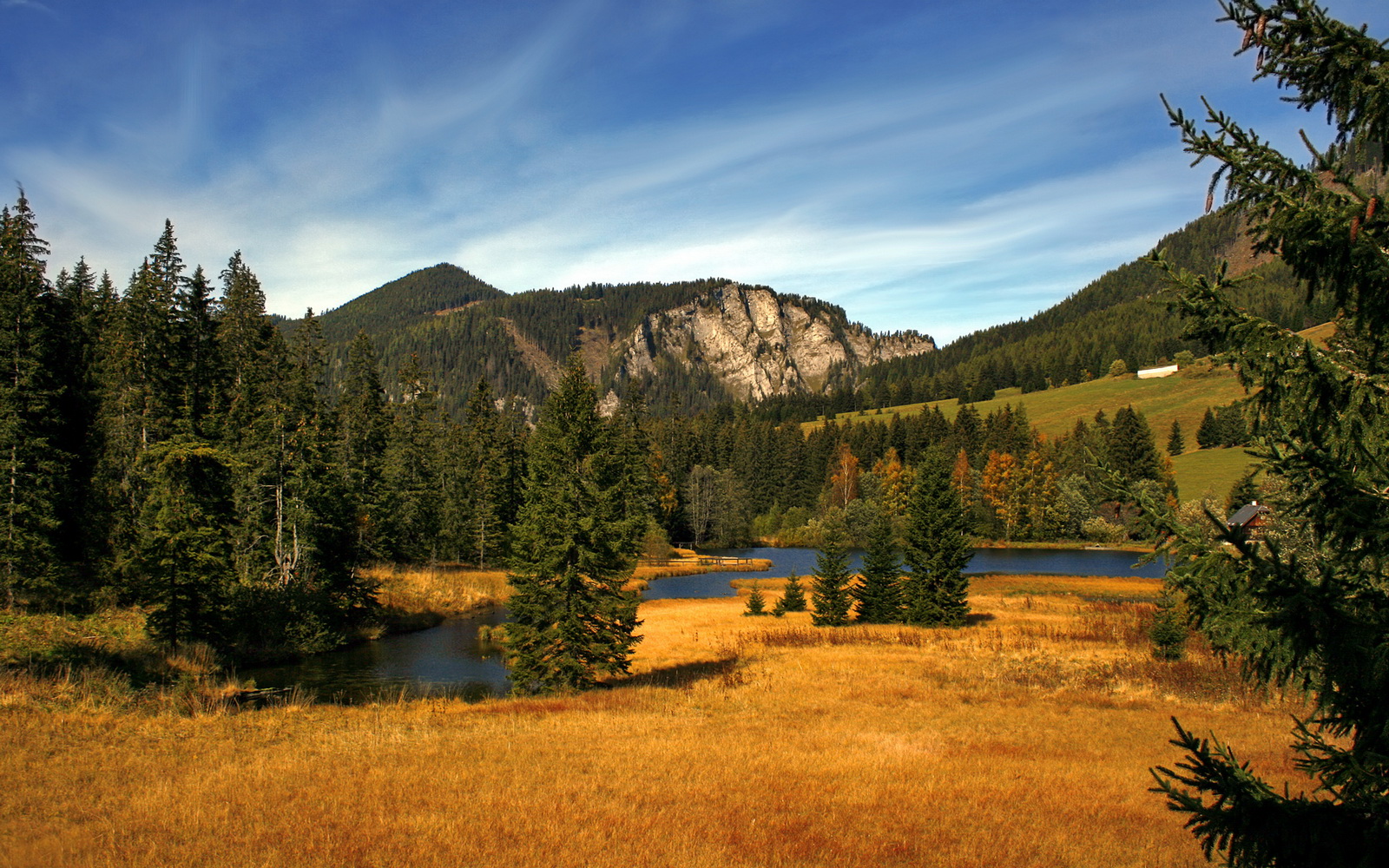 开云网页版登录入口-法甲新秀崛起：未来的足球领袖闪耀！，法甲新logo