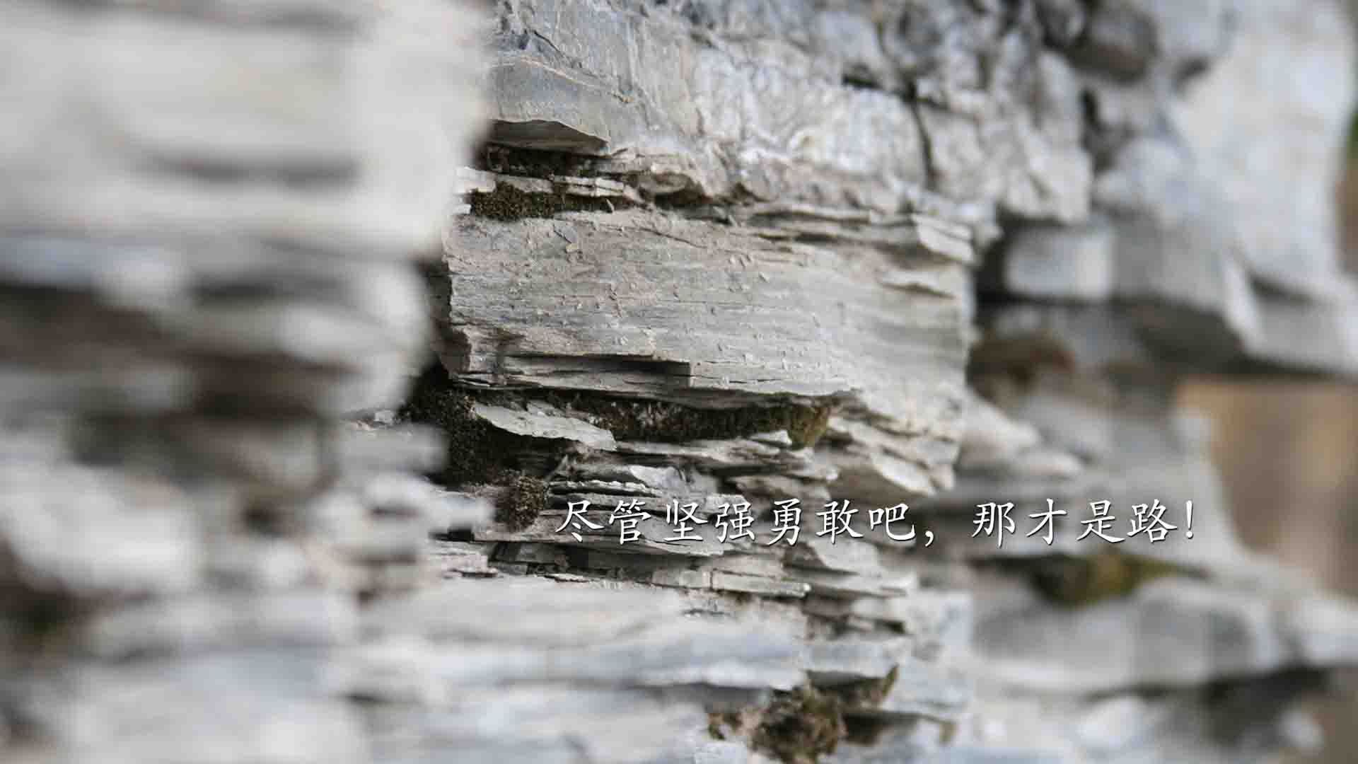 kaiyun体育综合-热火全队命中率提升打出流畅攻势，热火队伍